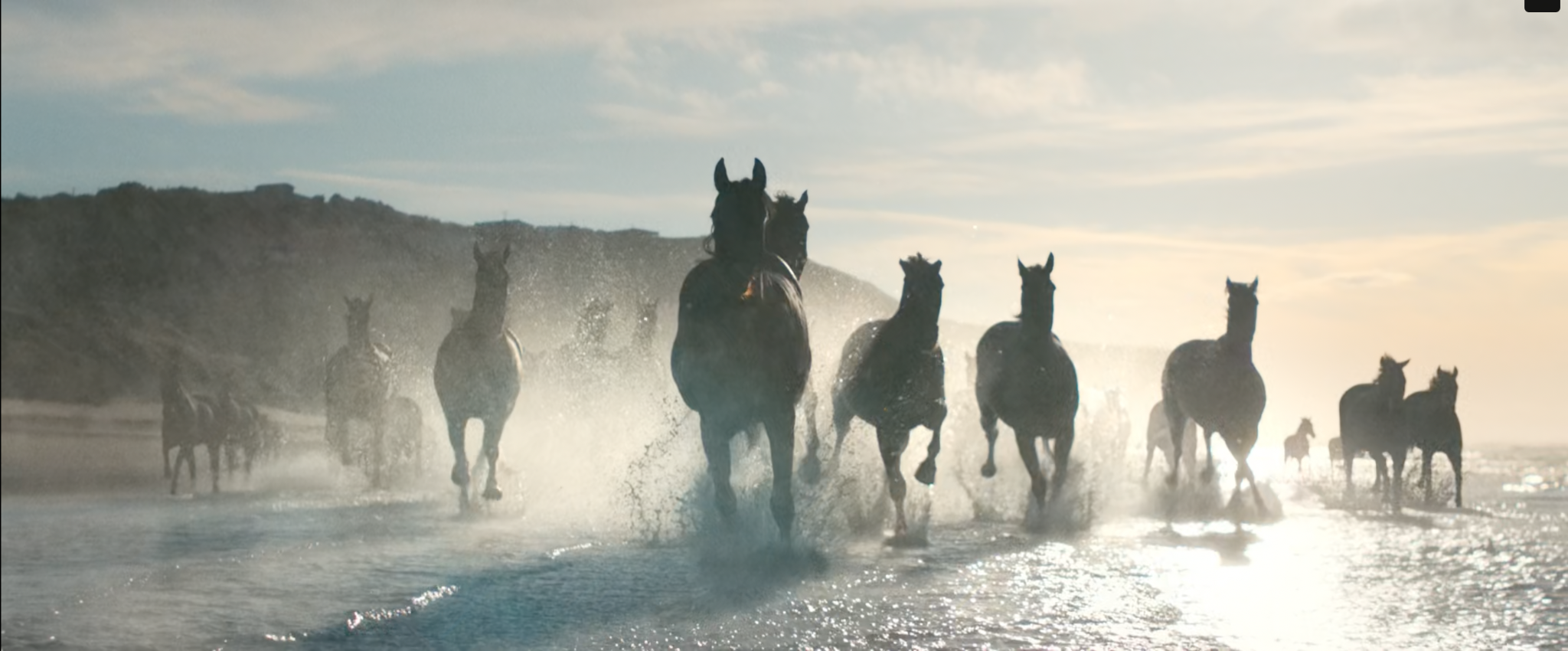 Lloyds Bank Running of the Horses campaign still